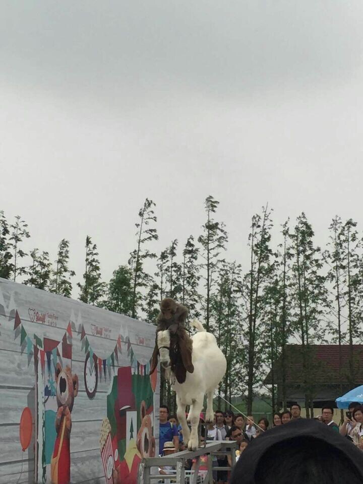 yl23455永利集团(中国)股份有限公司