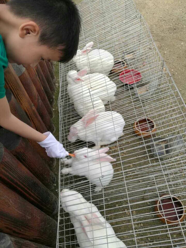 yl23455永利集团(中国)股份有限公司